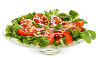 Feld Salat